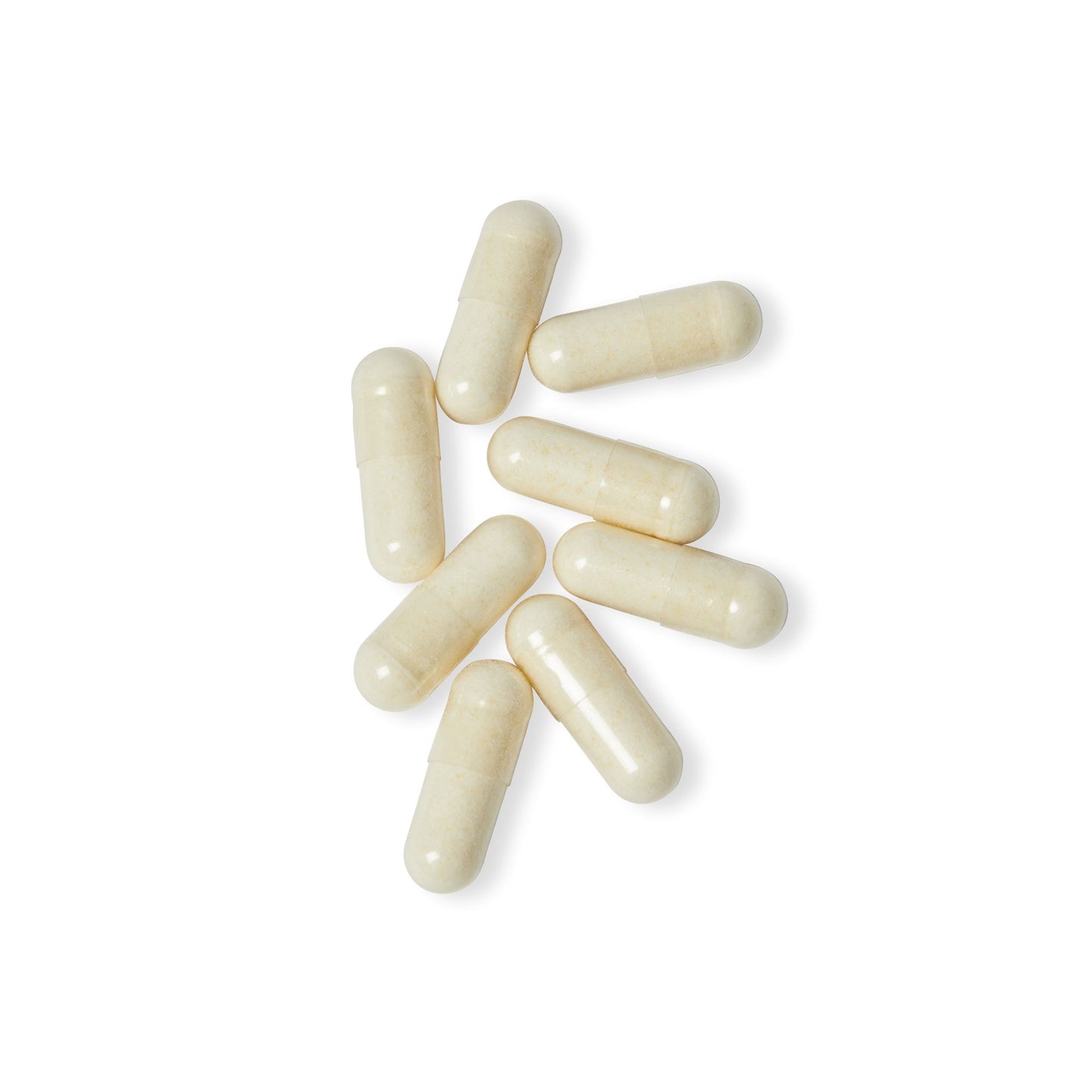 Daily Probiotic (60 Capsules)